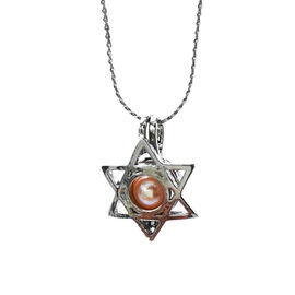 Cage Pendant Essential Oil Diffuser Locket For Oyster Pearl Girl Women Gits Dropshipping
