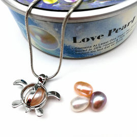 Silver Pearl Cage Locket Pendant Essential Oil Diffuser Oyster Neckalce Jewelry Findings