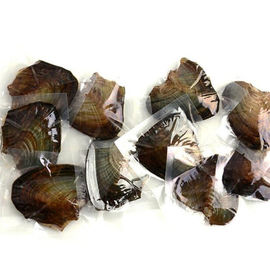 Wholesale Vacuum-packed 7-8mm A grade rice shape freshwater pearl oyster white natural Pearl Oyster