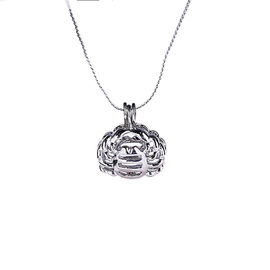 Natural Wish Freshwater Love Pearl Precious 12 Horoscope Zodiac  Cage Holder Necklace Pendant Gift Set