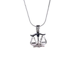 12 Horoscope Zodiac Love Wish Pearl Necklace Gift Set with Libra Locket Pendant  Innovative Birthday Gift