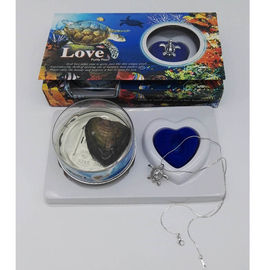 DIY Creativity Genuine Pearl in Oyster Love Pearl Necklace Kit with Turtle Shape Cage Pendant
