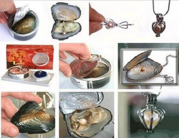 DIY Freshwater Pearl Jewelry Gift Love Pearl Necklace Set Oyster Drop Pendant Prefect Gifts