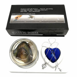 Friend Series Color Box Love Pearl Necklace Gift Box With Fashion Cage Pendant for Promotion Gift