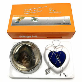 Friend Series Color Box Love Pearl Necklace Gift Box With Fashion Cage Pendant for Promotion Gift