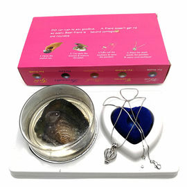 Friend Series Color Box Love Pearl Necklace Gift Box With Fashion Cage Pendant for Birthday Gift