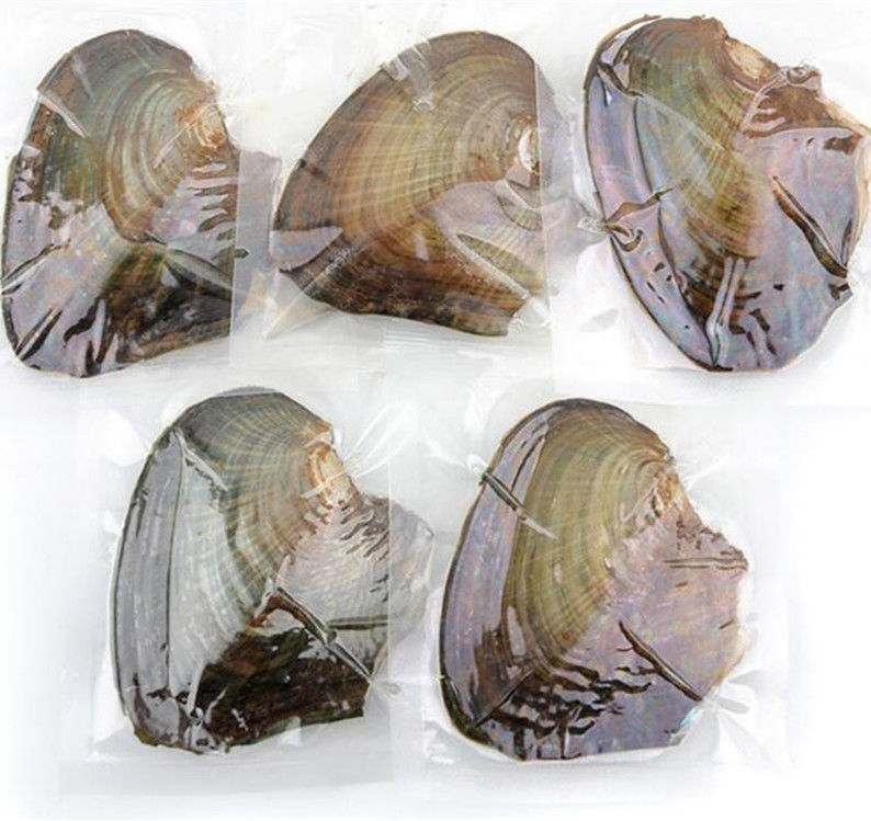 Wholesale Vacuum-packed 7-8mm A grade rice shape freshwater pearl oyster white natural Pearl Oyster