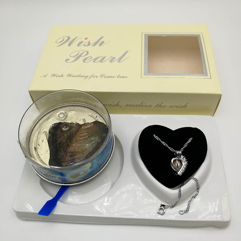 Wish Love Pearl Necklace Gift Set with Cage Pendant & Canned Freshwater Pearl DIY Fashion Jewelry